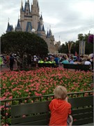 Disney 129